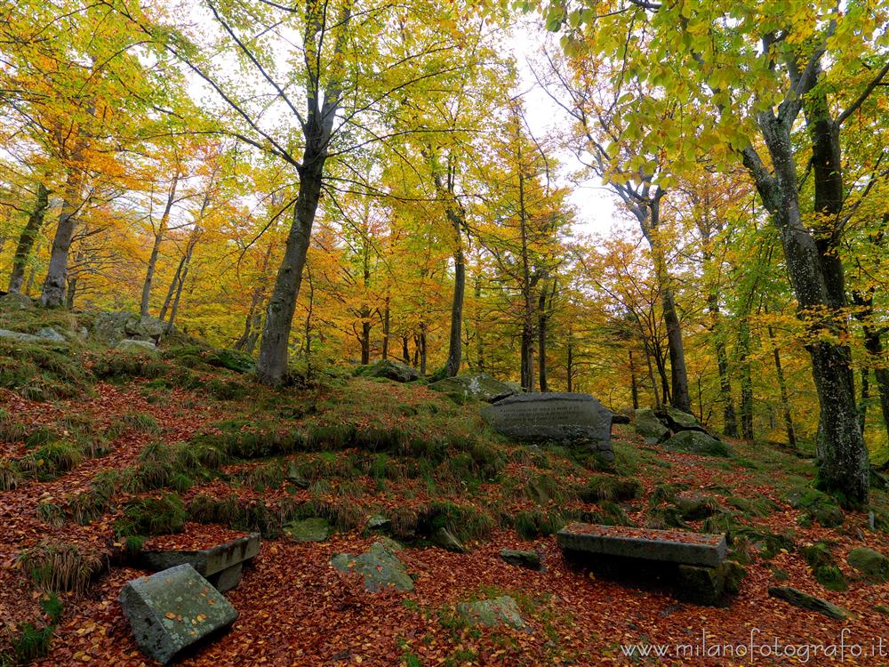 Biella (Italy) - Stones covered with moss in the autumn woods around the Sanctuary of Oropa